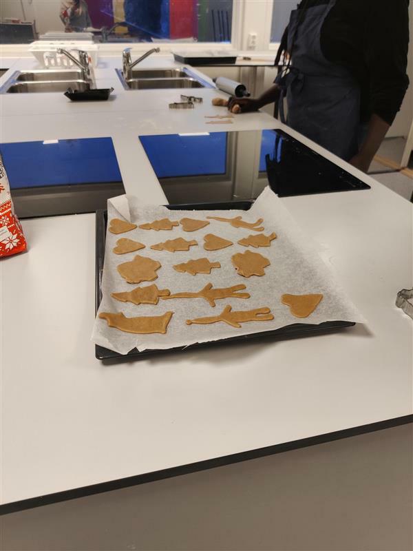 Alternativ julefeiring